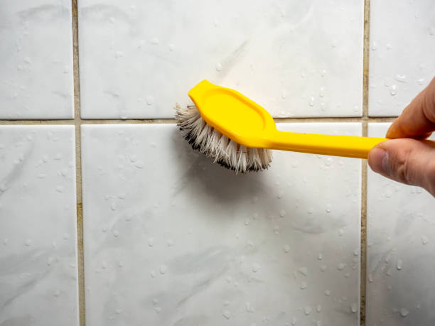 Best Bathroom Mold Remediation in Novi, MI