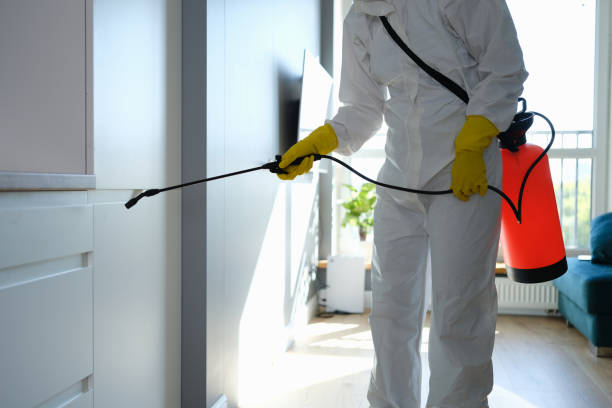 Best Industrial Mold Remediation in Novi, MI